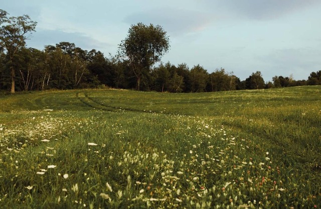 Tentrr - Private Peaceful Farm Venture
