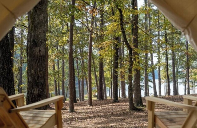 Tentrr State Park Site - Mississippi Roosevelt State Park - I - Single Camp