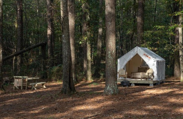 Tentrr State Park Site - Mississippi Roosevelt State Park - Tall Trees D - Single Camp