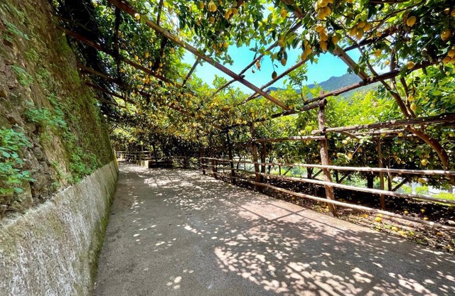 Tenuta Donna Giovanna