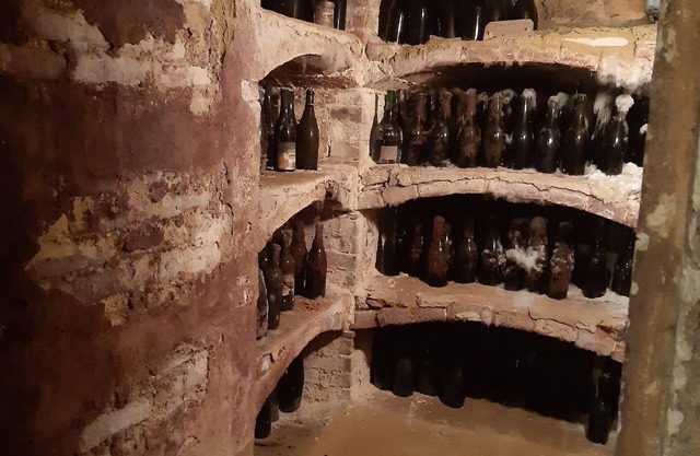 tenuta la violina