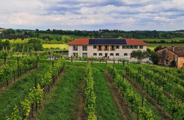 Tenuta Mani Sagge
