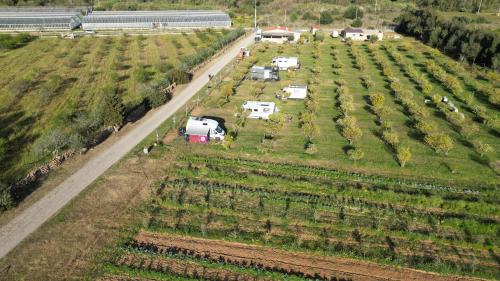 Tenuta Naturale