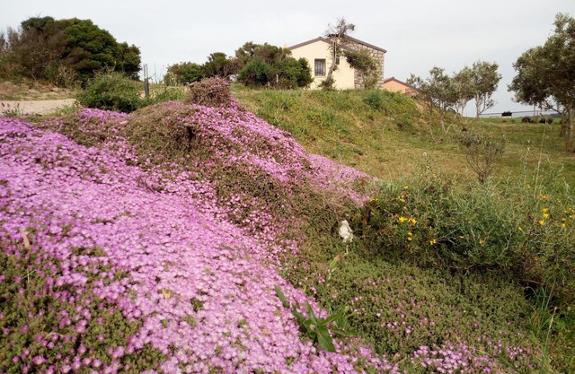 Tenuta Petra Bianca