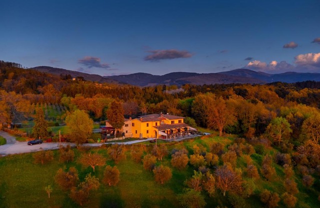 Tenuta Risalpiano