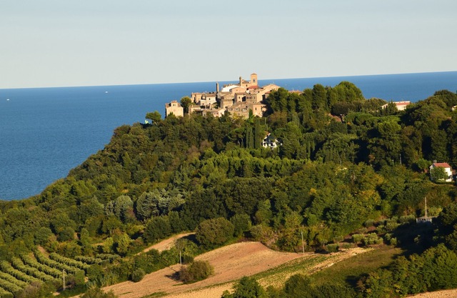 Tenuta Sonnenbrillen Coste