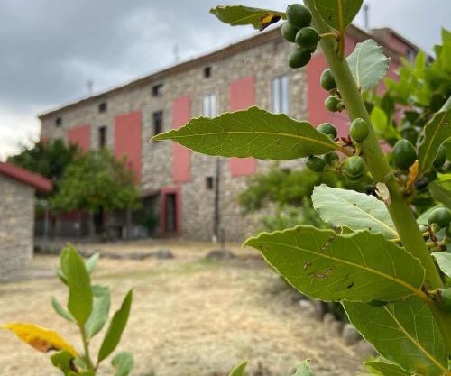 Tenuta TerraRossa