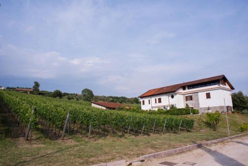 Tenuta Tralice