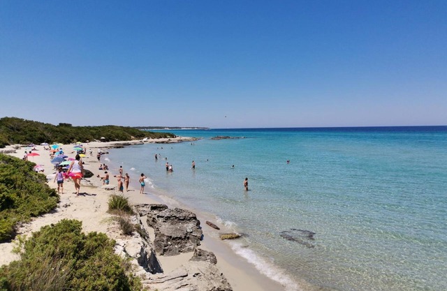 Tenuta Turchi