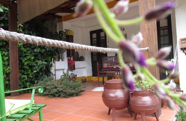 Terraços da Beira