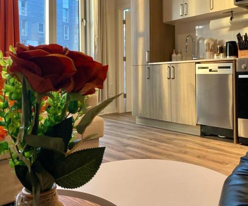 Terracotta 1-BD in Downtown MTL