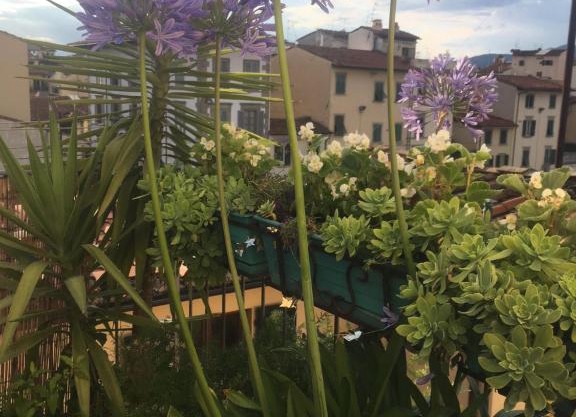 Terrazza su Sant'Ambrogio a Firenze