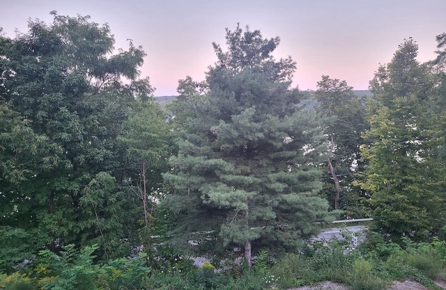 Terry Hill Little Lodge, Cozy, Luxury Comfort overlooking beautiful Keuka Lake!