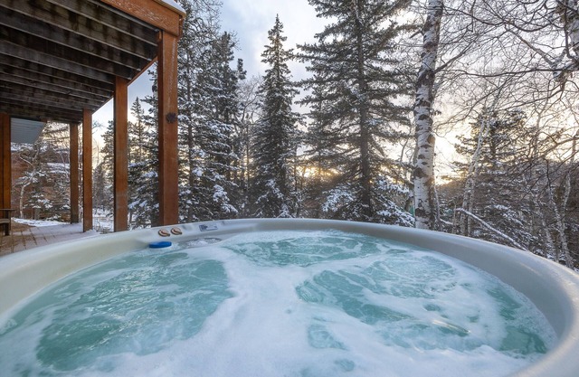 Terry Peak*Ski*Spa/Mtn Cabin*Heated bthrm floor!