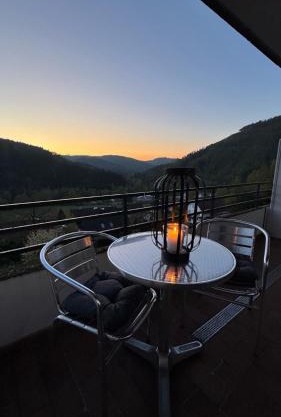 Teufelsberg Panorama mit Sauna und Bergblick