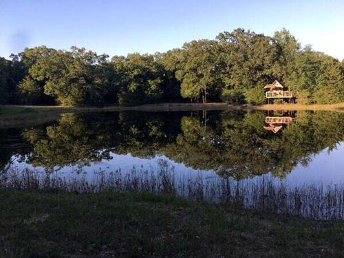 Texas Safari Camp Hummingbird Tree House