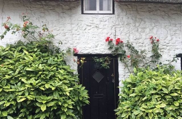 Thatched Mid Terraced Cottage