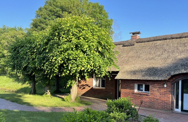 Reetdach- Ostfriesenhaus in ruhiger Lage in Ostfriesland für bis zu 7 Personen