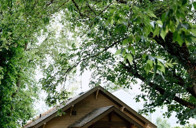 The 1920s Craftsman / Entire House