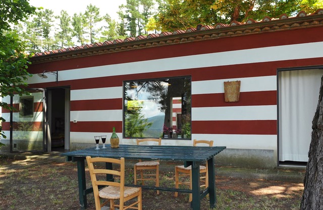 Das Pollaio der Fattoria di Caiano, Holzfachwerkdach, Kalkwände