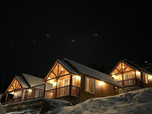 The Auli Meadows
