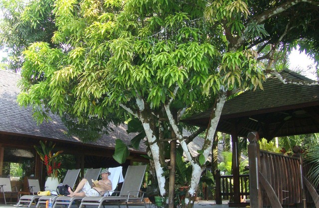 Die Bali-Haus am Strand, das beste Haus und bester Lage bei weitem!