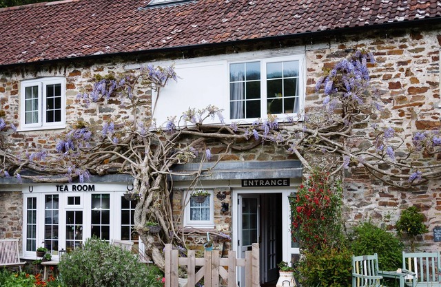 The Bark House