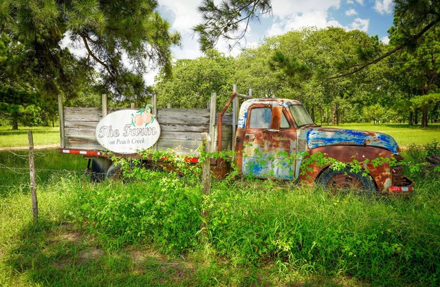 The Baugh Farm-Country Living near ATX