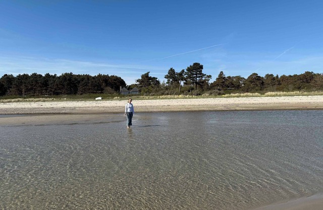 The beach is 60 meters from the cottage