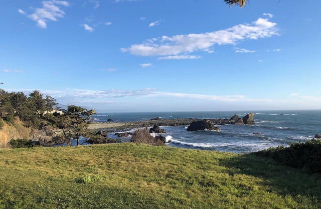 The Beachcomber Oceanside Getaway! NEW 2025