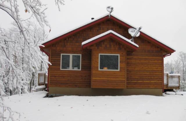 The Bear Cabin