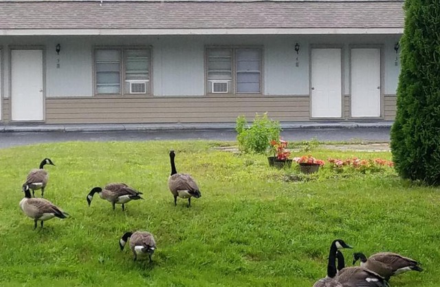 The becket Motel