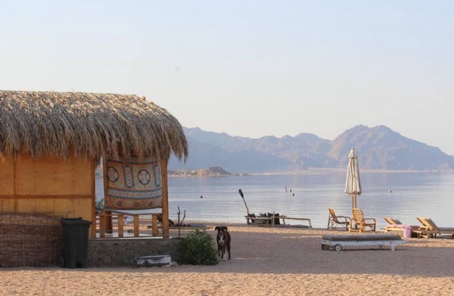 The Bedouin Life with Eid Ali - Standard Double room 2