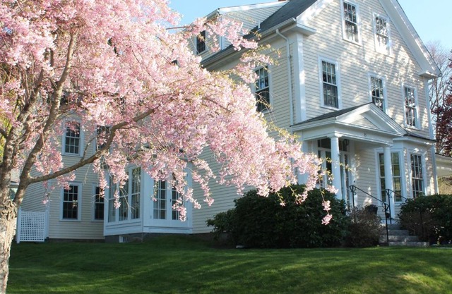 The Beech Tree B&B