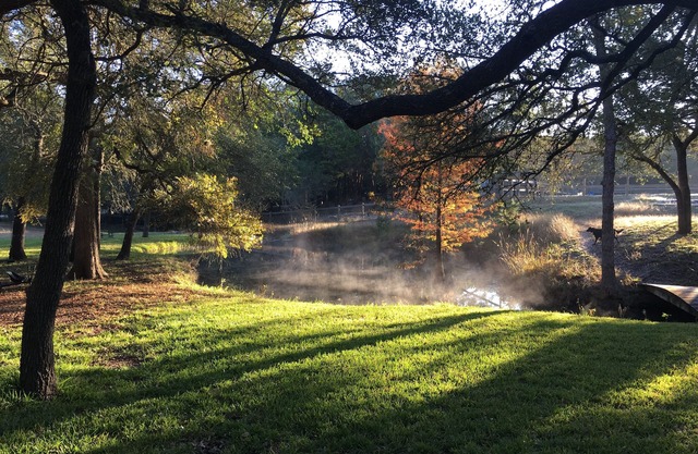 NEU! Hill Country Guest House - Großartige Lage für Austin & Dripping Springs