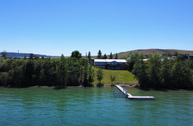 The Bison on Flathead Lake