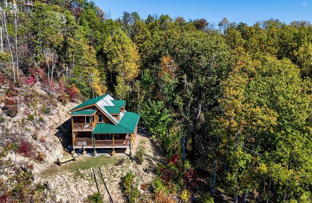 The Black Bears, Lush Views and Mountain Adventure Await You Here For Autumn!