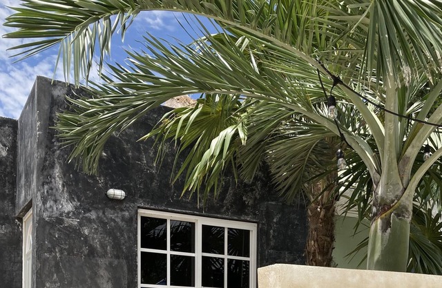 The black house - w/small pool, beach and cenotes around.