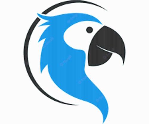 The Blue Parrot At Hampton Beach