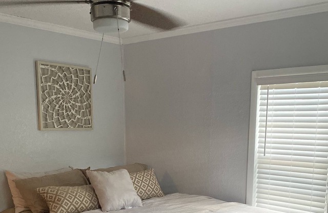 The Boho Home