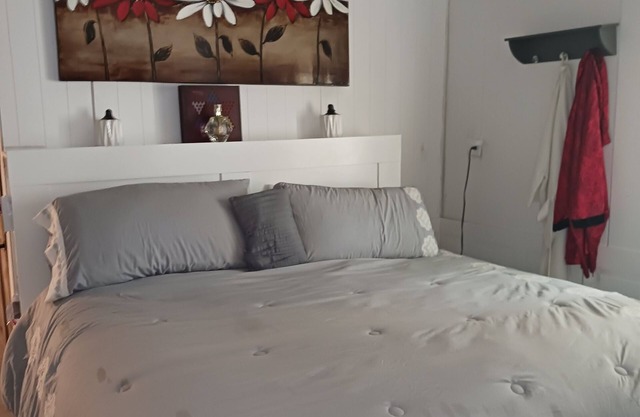 The Butterfly large Cabin with a king-size bed. kitchenette and jacuzzi bathtub