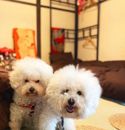 ＊THE CABIN 鎌倉＊鎌倉エリア/寛ぎのレトロなお部屋/ワンちゃんOK