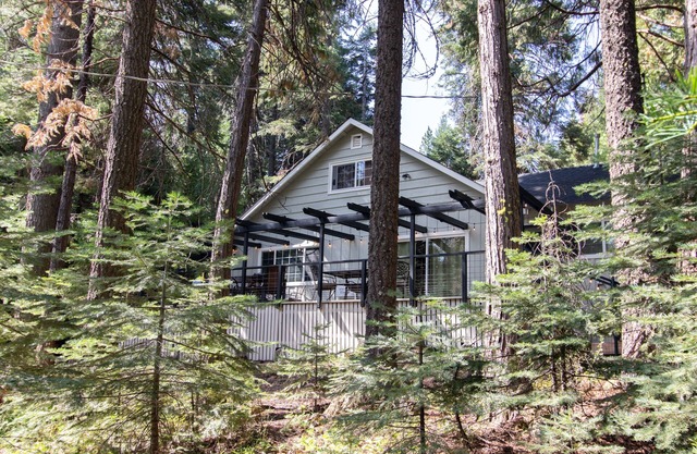 The Cabin Viola