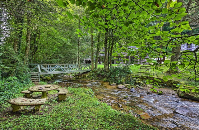 ‘The Chalet Retreat’ Cabin Across from Creek!