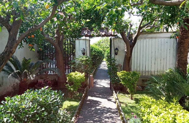 The Citrus Garden