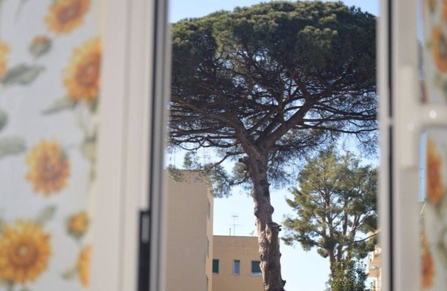 DIE FARBEN VON SALVATOR ROSA - Green Room