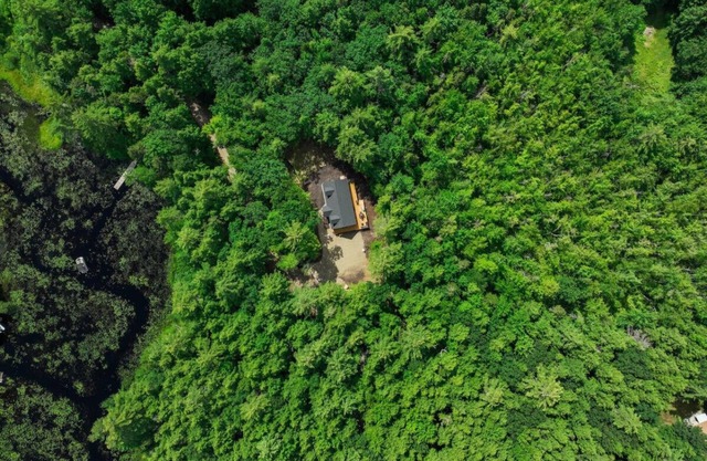 The Conway Cabin | Spacious, Peaceful, Lake Access