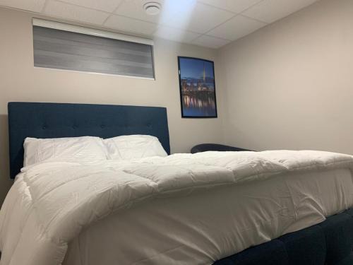 The Cozy Oasis