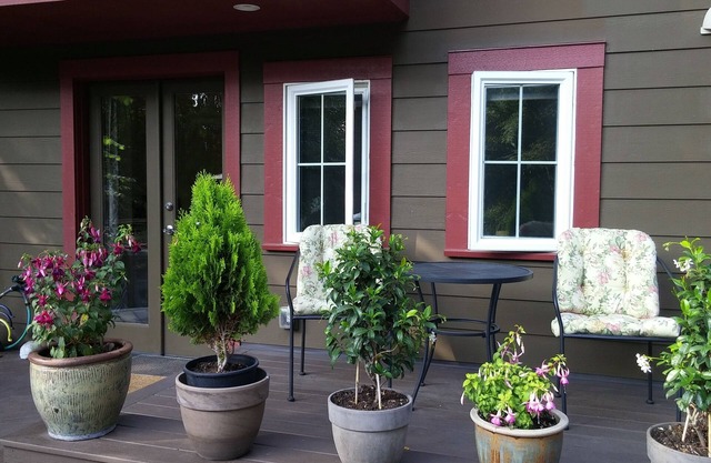 The Cozy Studio of Lake Forest Park
