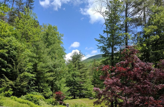 Das Cranberry House in den Catskills